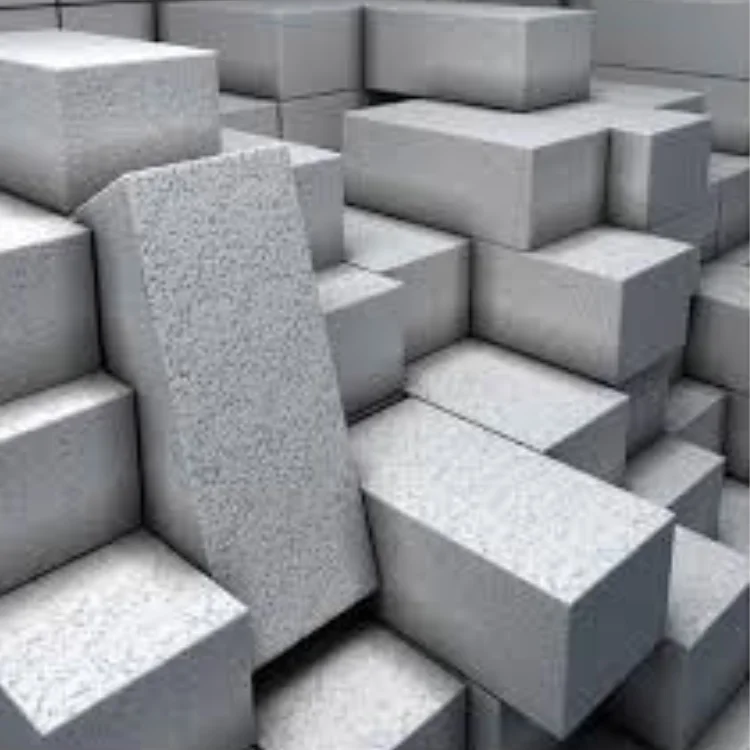 Fly ash bricks